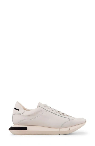 Paloma Barceló Lisieux Sneaker In Gesso/ Black