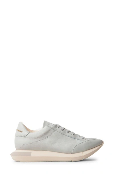 Paloma Barceló Lisieux Sneaker In Light Grey