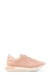 Paloma Barceló Lisieux Sneaker In Pink
