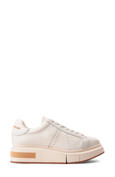 Paloma Barceló Agen Sneaker In Gesso/ Caramel