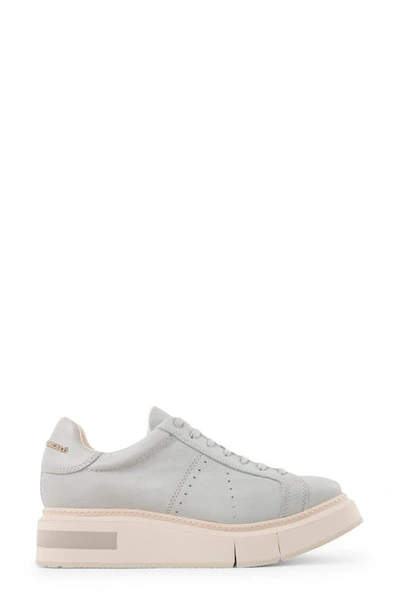 Paloma Barceló Agen Sneaker In Light Grey