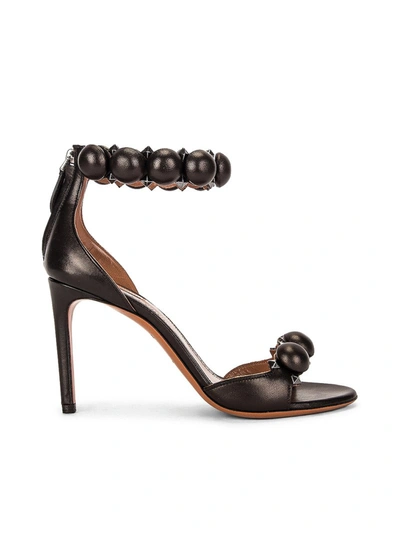 初回限定 バレエシューズ シャネル アライア ALAÏA カッティング