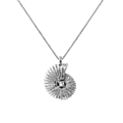 Lee Renee Ammonite Diamond Necklace - Silver