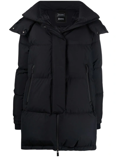 Herno A-line Padded Zip-front Coat In Black