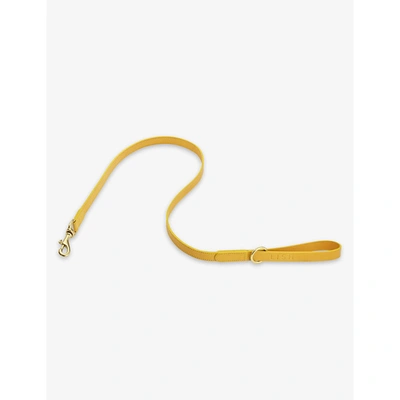 Lish Coopers Medium Leather Dog Lead In Lemon Yellow