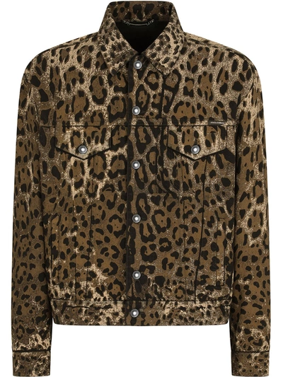 Dolce & Gabbana Leopard Print Blouson Jacket In Multicolour