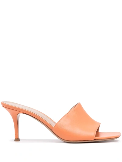 Gianvito Rossi 套穿式穆勒鞋 In Orange