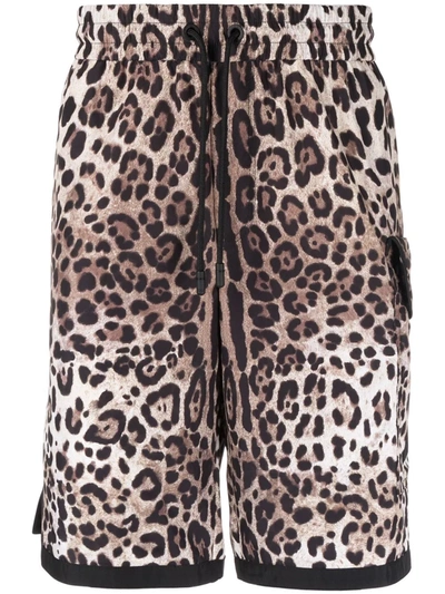 Dolce & Gabbana Leopard-print Nylon Shorts With Dg Patch In Animal Print