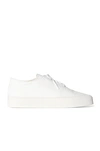 THE ROW MARIE H LACE UP CANVAS SNEAKERS,TERX-WZ37