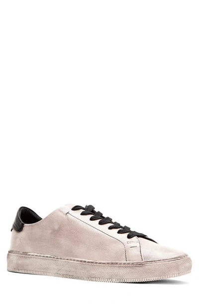 Frye Astor Sneaker In White/black