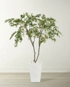 John-richard Collection White Maples Decorative Tree