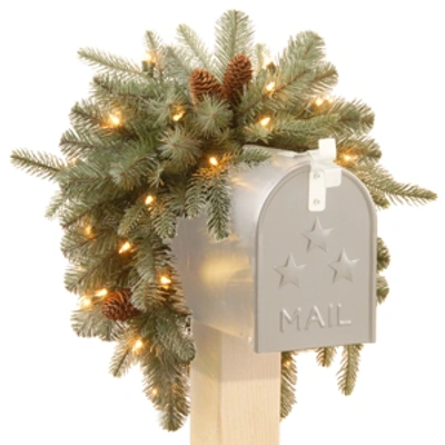 National Tree Company National Tree 36" Frosted Arctic Spruce Mailbox Swag With Battery Operated Warm White Led Lights In Green