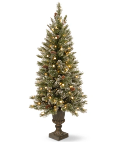 National Tree Company 4' Glittery Bristle Pine Entrance Tree With Urn Base & 100 Led Lights In Green