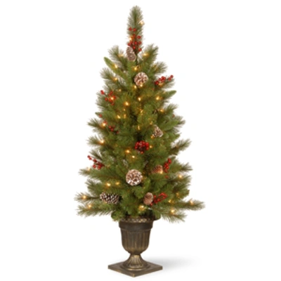 National Tree Company 4' Feel Real Bristle Berry Entrance Tree In Dark Bronze Pot With 100 Clear Lights In Green