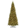 NATIONAL TREE COMPANY 12' TIFFANY FIR SLIM TREE WITH 900 CLEAR LIGHTS