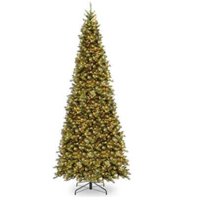 National Tree Company 12' Tiffany Fir Slim Tree With 900 Clear Lights In Green