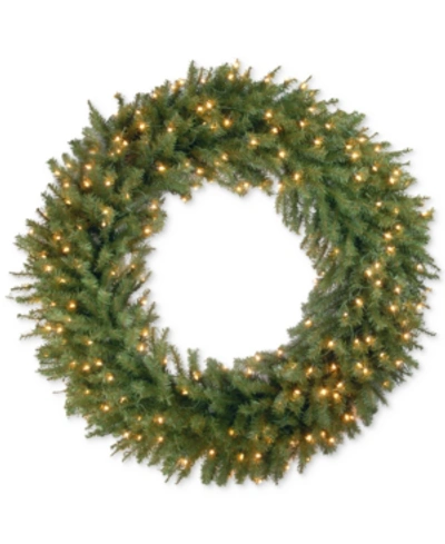 National Tree Company 48" Norwood Fir Wreath With 200 Clear Lights In Green