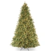 National Tree Company National Tree 9' "feel Real" Tiffany Fir Hinged Tree With 1050 Clear Lights In Green