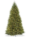 NATIONAL TREE COMPANY 10' DUNHILL FIR FULL-BODIED & HINGED TREE WITH 1200 CLEAR LIGHTS