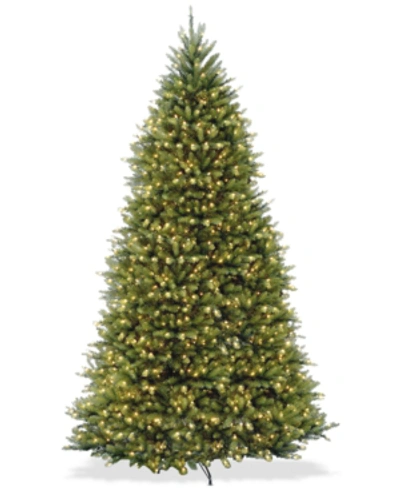 National Tree Company 10' Dunhill Fir Full-bodied & Hinged Tree With 1200 Clear Lights In Green