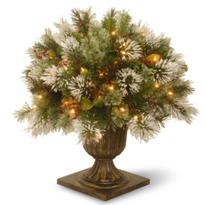 National Tree Company 24" Wintry Pine Porch Bush With Cones & Red Berries & 50 Clear Lights In Green