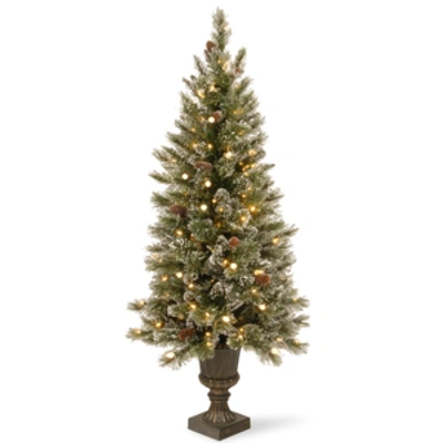 National Tree Company National Tree 5' Glittery Bristle Pine Entrance Tree With White Tipped Cones In Green