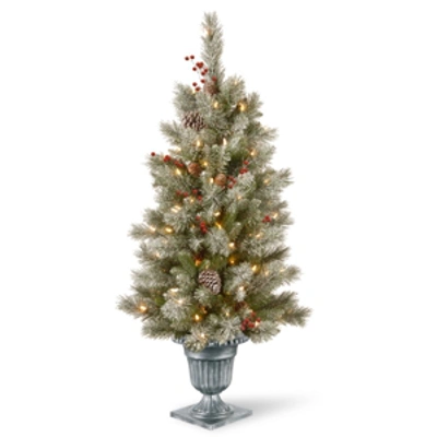 National Tree Company 4' Feel Real Snowy Bristle Berry Entrance Tree In Silver Brushed Urn With Red Berries, Mixed Cones & In Green