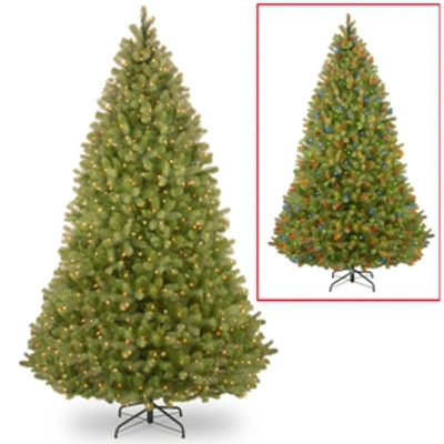 National Tree Company National Tree 9' "feel-real" Bayberry Spruce Hinged Tree With Dual Color Lights In Green