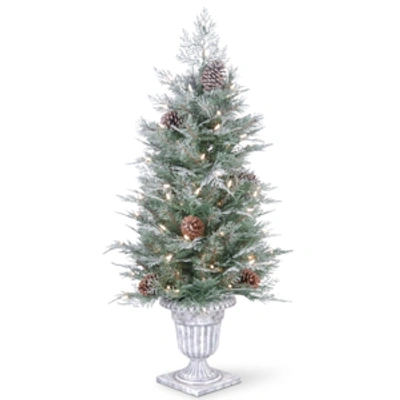 National Tree Company 4' Feel Real Frosted Mountain Spruce Entrance Tree In Silver Urn W Clear Lights In Green