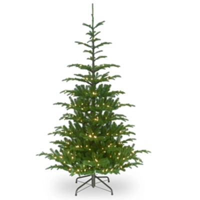 National Tree Company 6.5' Feel Real Norwegian Spruce Hinged Tree With 650 Clear Lights In Green