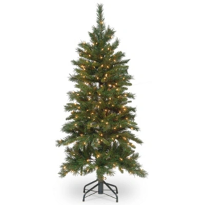 National Tree Company National Tree 4.5' Tiffany Slim Fir Hinged Tree With 250 Clear Lights In Green