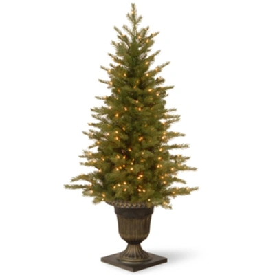 National Tree Company National Tree 4' "feel Real" Nordic Spruce Entrance Tree With 100 Clear Lights In Green