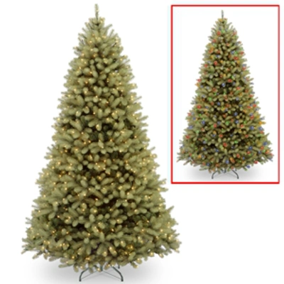National Tree Company National Tree 9' "feel Real" Down Swept Douglas Fir Hinged Tree With 900 Low Voltage Dual Led Lights In Green