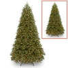 NATIONAL TREE COMPANY NATIONAL TREE 10' FEEL REAL JERSEY FRASER FIR MEDIUM TREE WITH 2000 DUAL COLOR LED LIGHTS