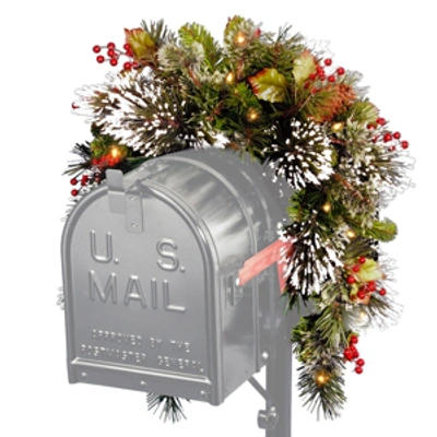 National Tree Company Wintry Pine R Mailbox Swag With Battery Operated Warm Led Lights In Green