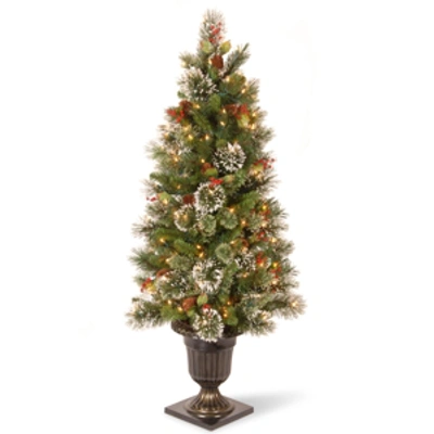 National Tree Company National Tree 4' Wintry Pine Entrance Tree Cones, Red Berries And Snowflakes With 50 Clear Lights In Green