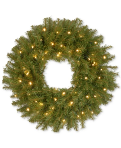 National Tree Company 24" Norwood Fir Wreath With 50 Battery-operated Led Lights & Timer In Green