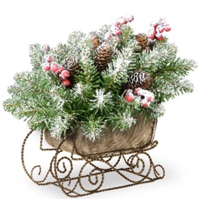 National Tree Company 10" Dunhill Fir Sleigh With Snow, Berries And Cones In Green