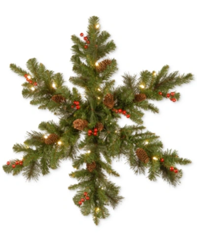 National Tree Company 32" Crestwood Spruce Snowflake With 35 White Led Lights In Green