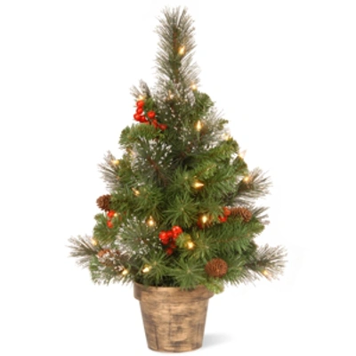 National Tree Company 2 Ft. Crestwood Spruce Small Entrance Tree With Silver Bristle, Cones, Red Berries, Glitter And 35 C In Green