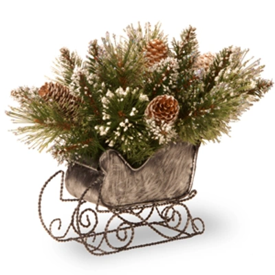 National Tree Company 10" Glittery Bristle Pine Sleigh With 6 White Tipped Cones In Green