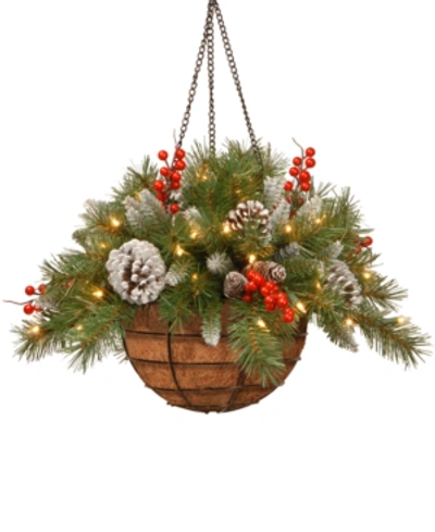 National Tree Company 20" Frosted Berry Hanging Basket With Cones, Berries & 50 Led Battery-operated Lights With Timer In Green
