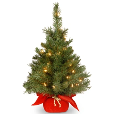 National Tree Company 24" Majestic Fir Tree With 35 Clear Lights And Red Cloth Bag In Green