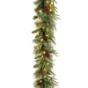 National Tree Company National Tree 9'x10" "feel Real" Colonial Garland With Berries, Cones And 50 Clear Lights In Green