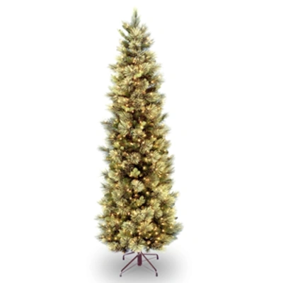 National Tree Company National Tree 6.5' Carolina Pine Slim Tree With Flocked Cones & 350 Clear Lights In Green