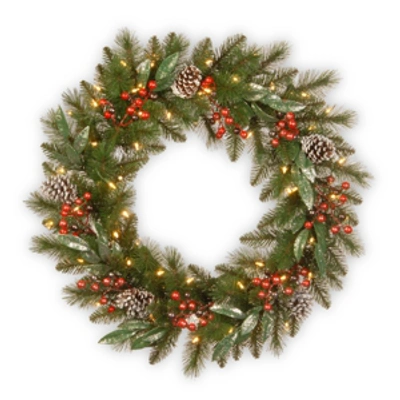 National Tree Company 24" Frosted Pine Berry Collection Wreaths With Cones, Red Berries, Silver Glittered Eucalyptus Leave In Green