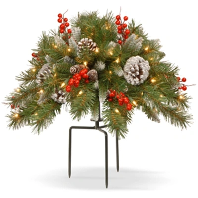 National Tree Company 18' Frosted Berry Urn Filler With Cones, Red Berries, Tripod Stake & 35 Warm White Battery Operated In Green