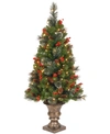 National Tree Company 4' Crestwood Spruce Entrance Tree With 100 Clear Lights
