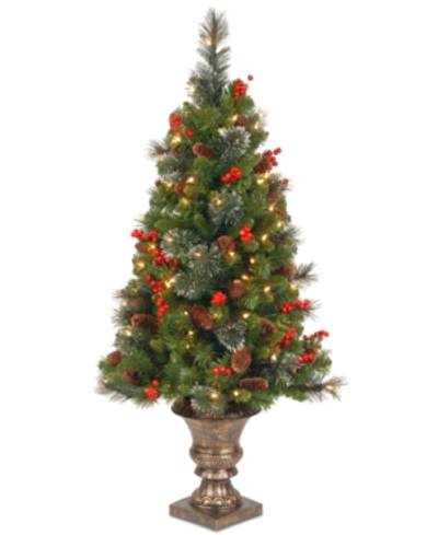 National Tree Company 4' Crestwood Spruce Entrance Tree With 100 Clear Lights