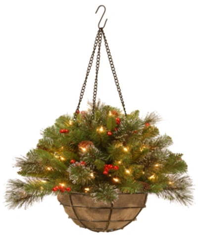 National Tree Company 20" Crestwood Spruce Silver Bristle Hanging Basket With Cones, Berries, Glitter & 50 Battery-operate In Green